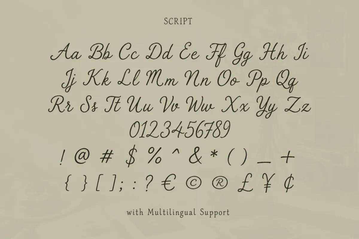 The Sunny Field - Rustic Serif & Script Duo