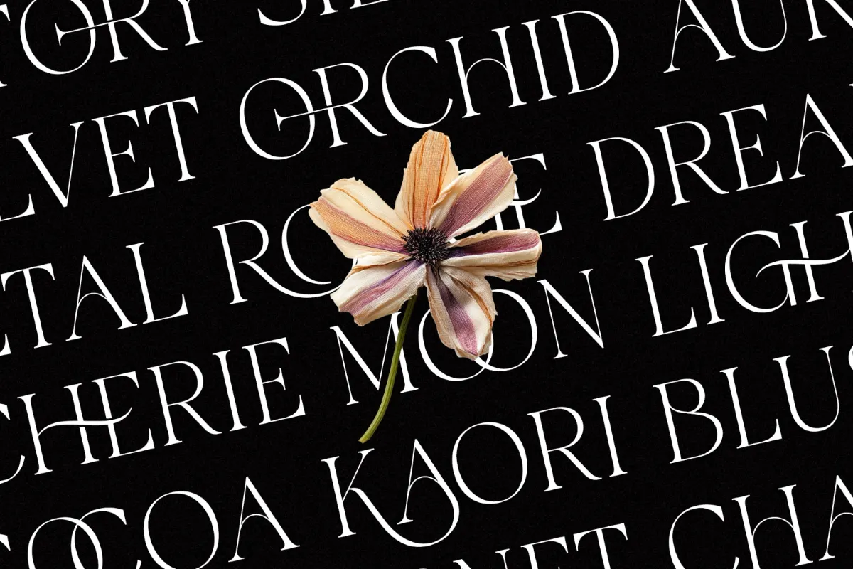 Galvore - Luxury Ligature Serif Font