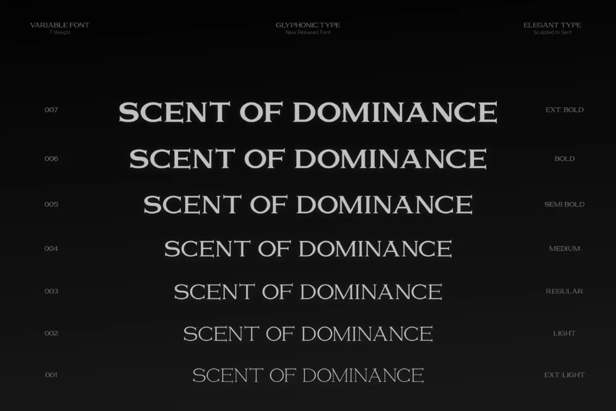 GC Volumn - Elegant Serif Font
