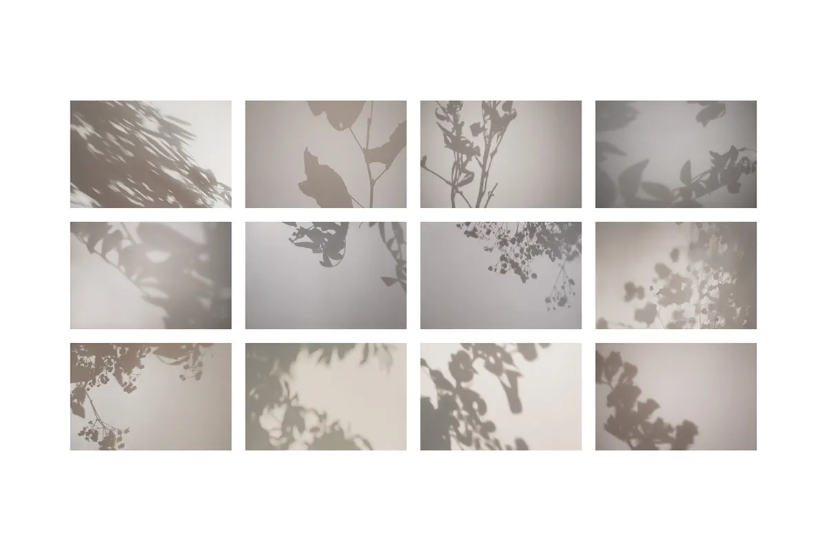 Shadow Overlays Part 5