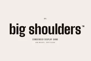 Big Shoulders Display - Free Font Family