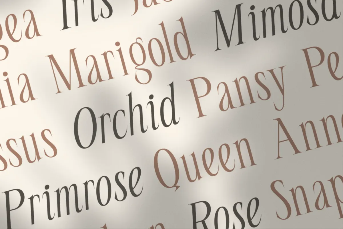 Seraline Orchid – Modern Elegant Serif Font