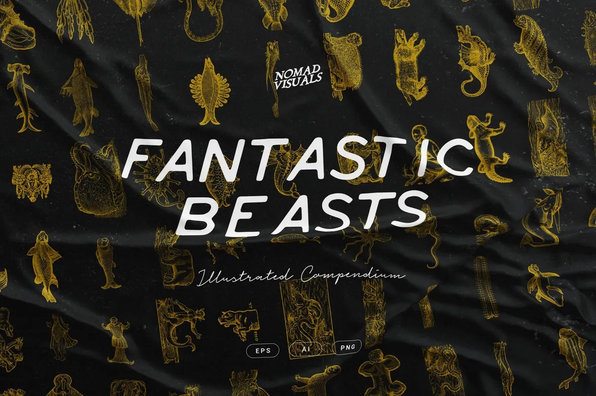 Fantastic Beasts Illustrations