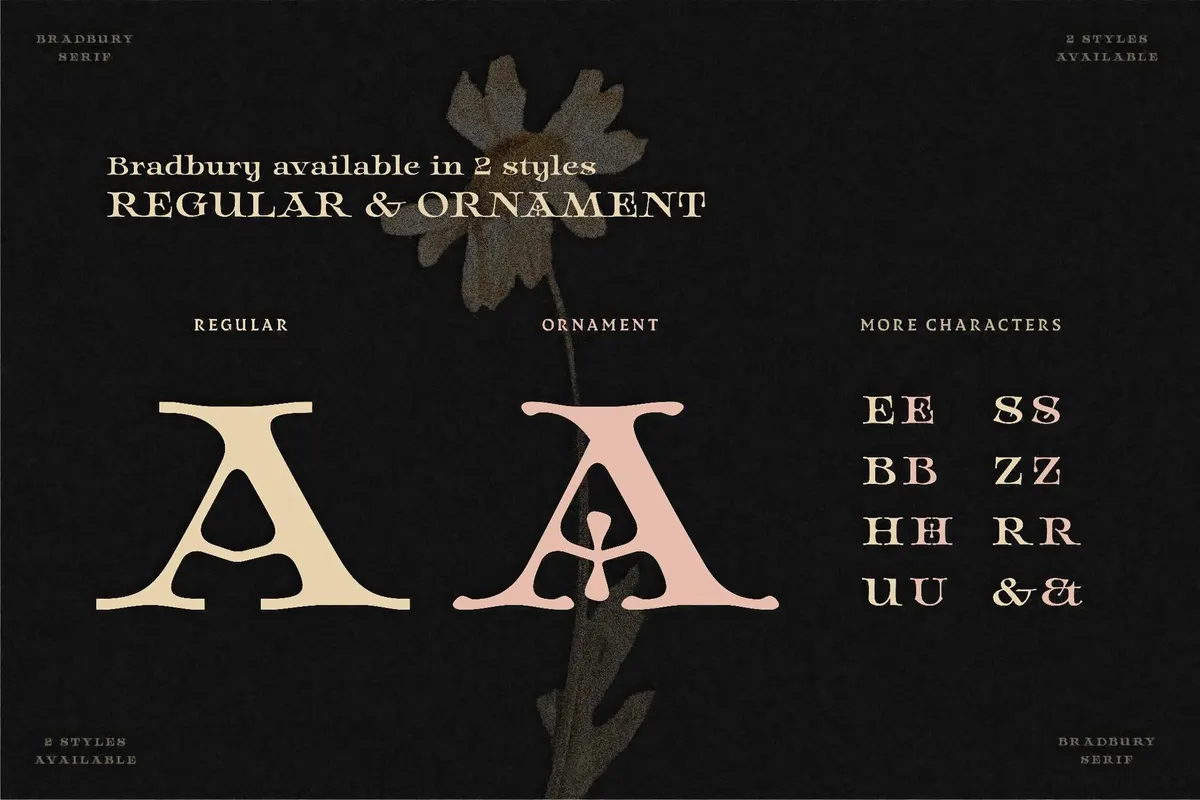 Bradbury — Display Serif