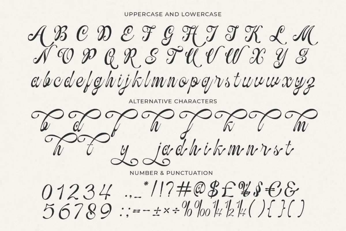Ovelyned a Calligraphy Script Font