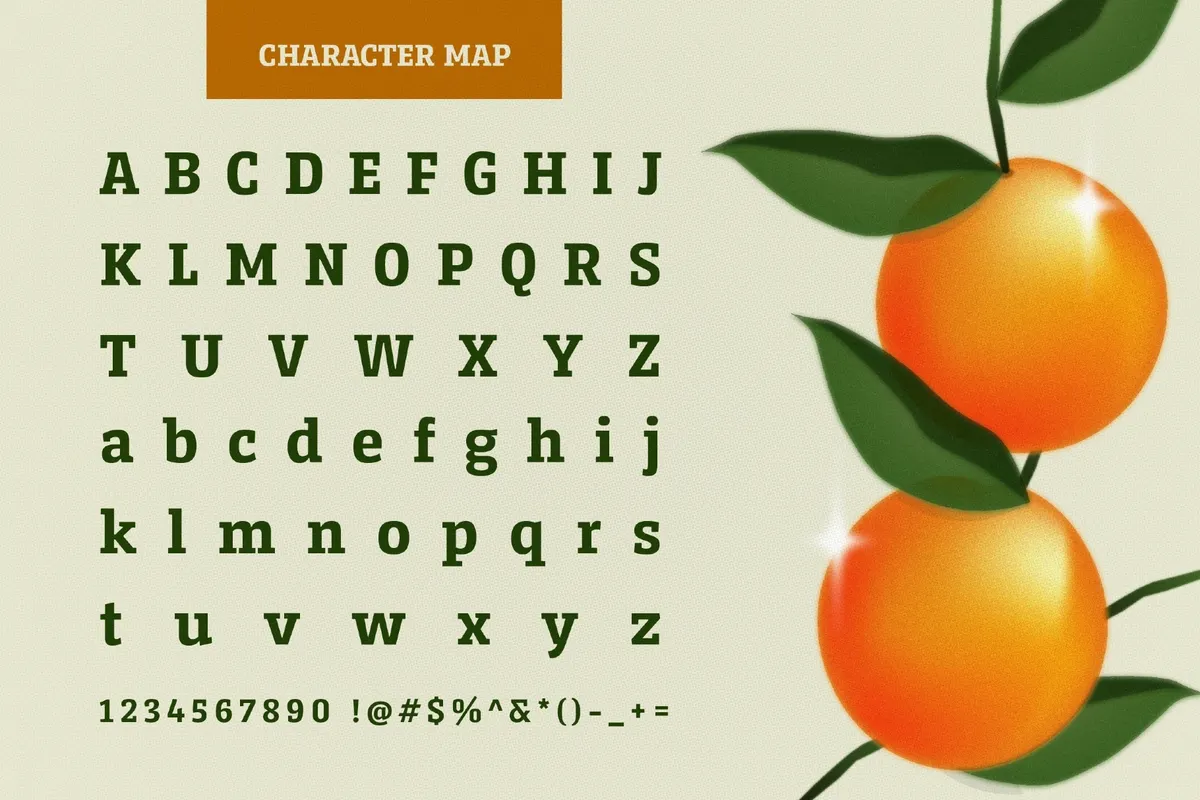 Serifnova Font