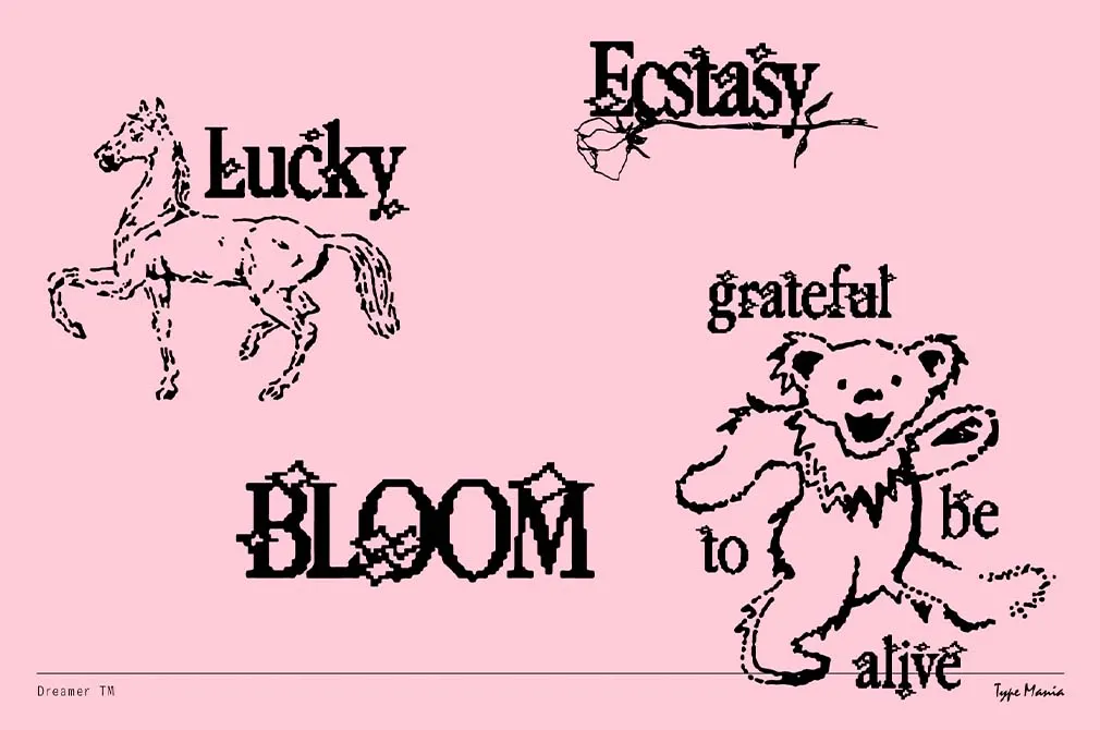 Dreamer TM | Y2K Pixel Font