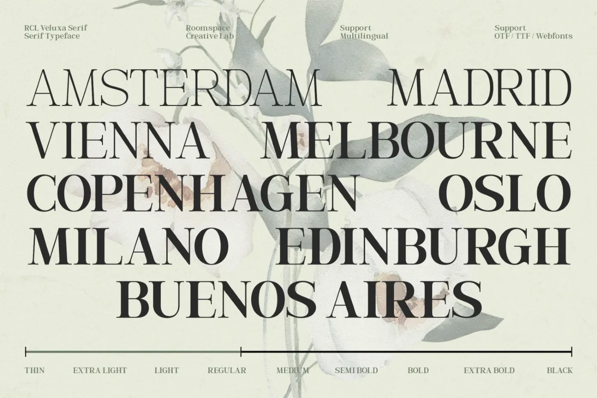 Veluxa Serif – Elegant Branding Serif Font