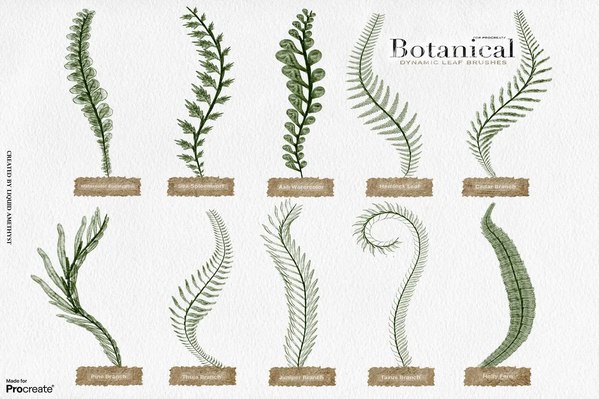 Botanical Greenery Procreate Brushes