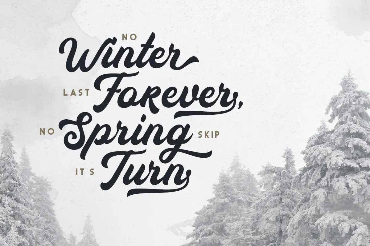 Auckland - Bold Script Font
