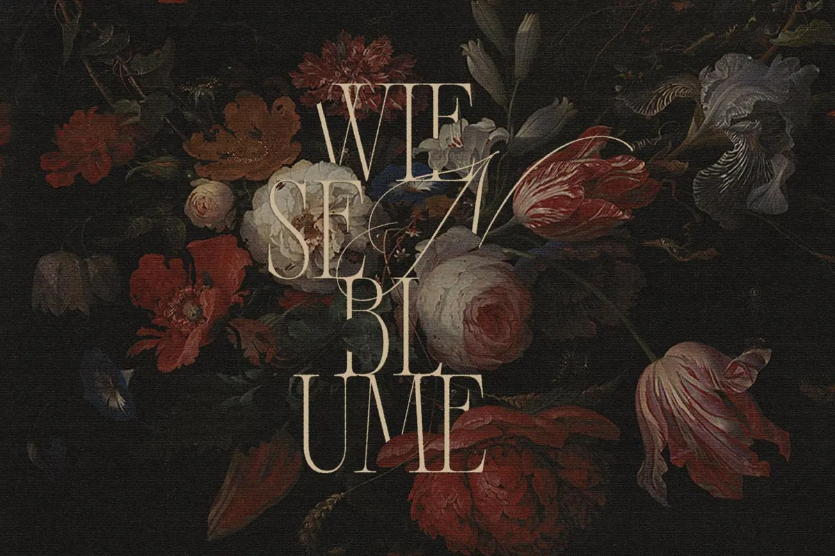 Alizee — Classy Hybrid Serif