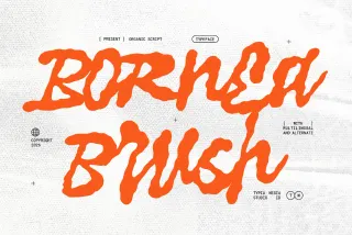Bornea Brush - Organic Graffiti Script Font