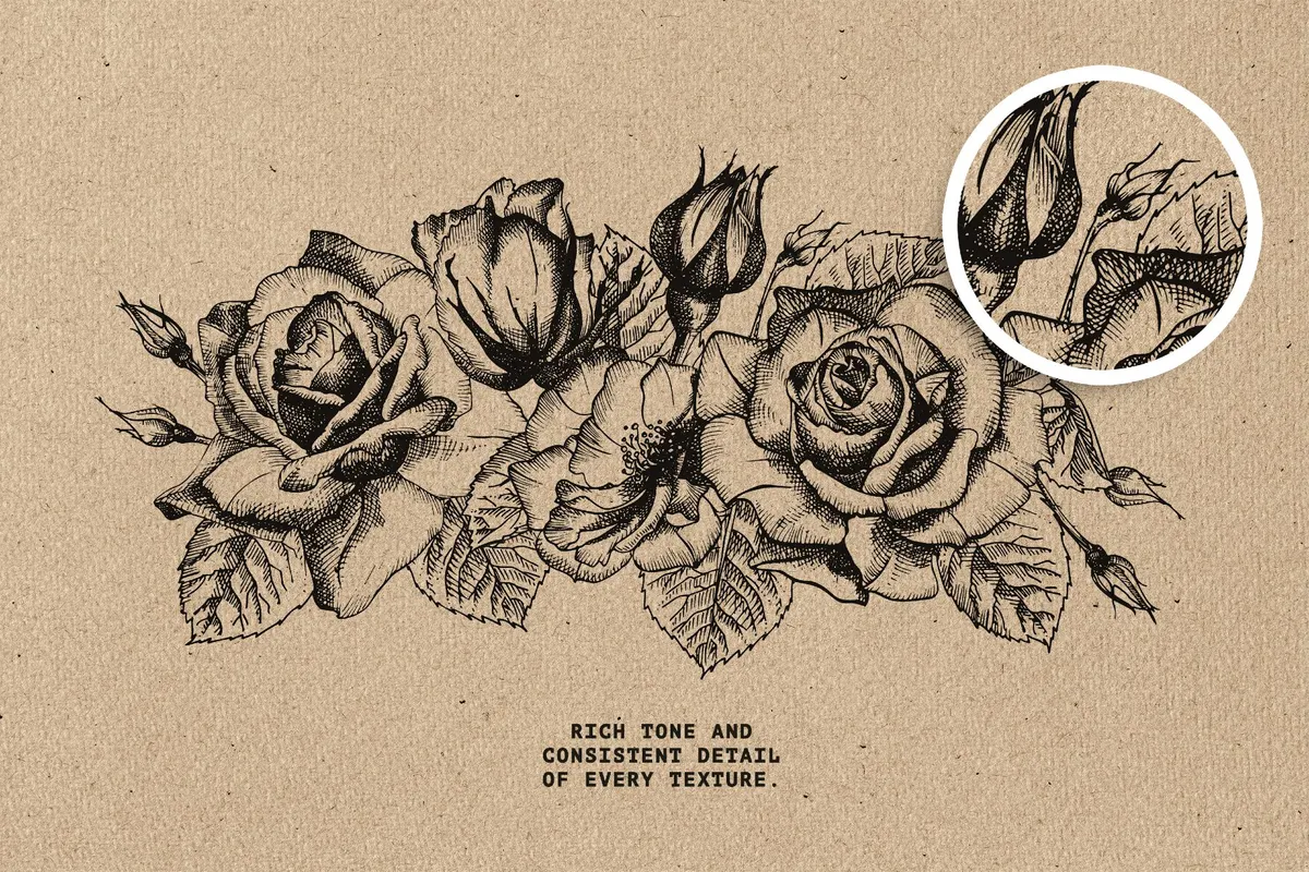 Kraft Paper Textures