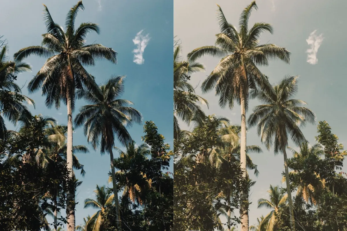 Warm Summer Look Lightroom Presets