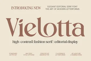 Vielotta - Elegant Editorial Serif