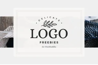 Delicate Feminine Logos