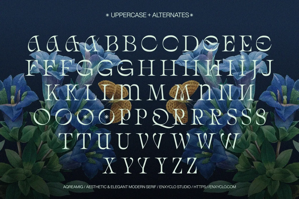 AQREAMIG — Modern Luxury Serif Font