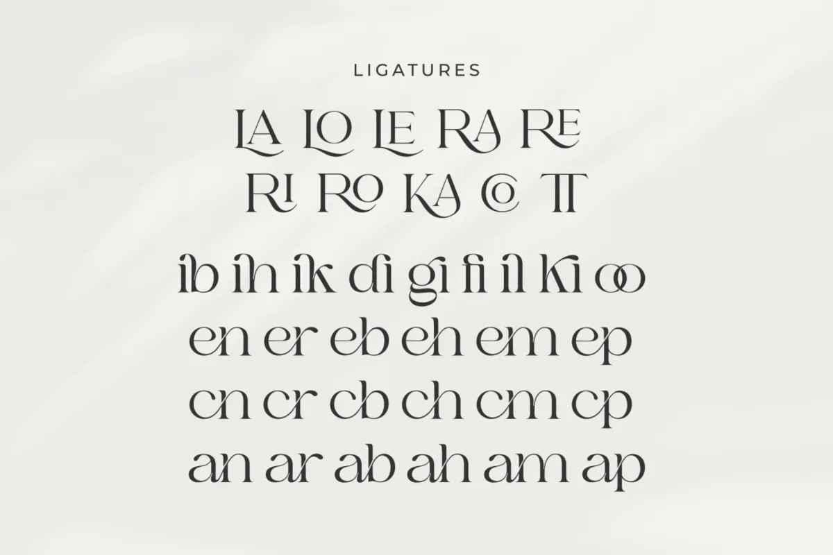 Bilgie - Chic Elegant Font
