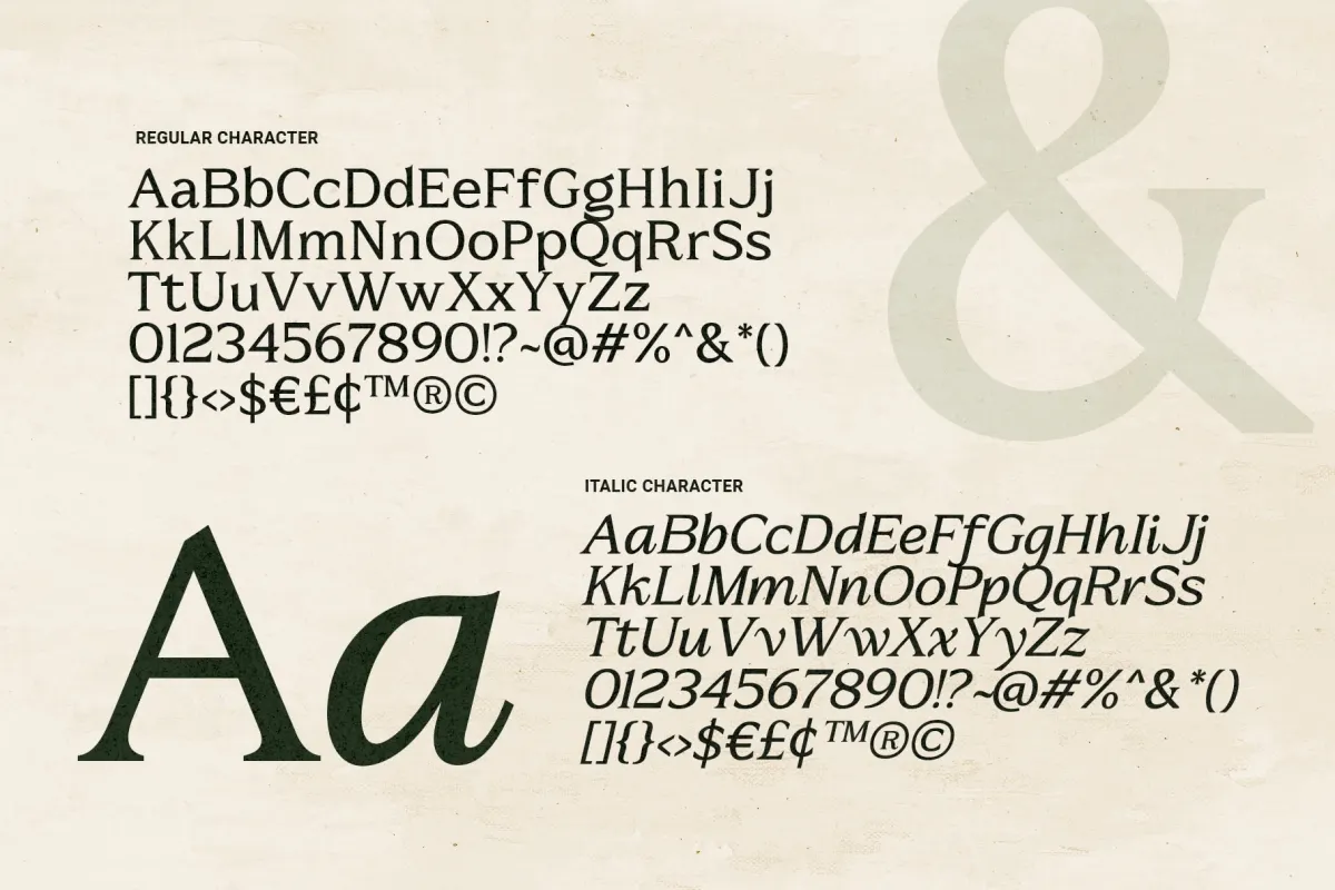Metaspire - Elegant Display Serif Font