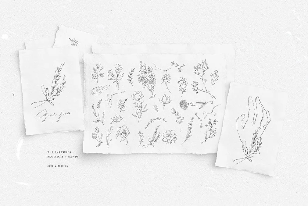 Allegory Watercolors Collection