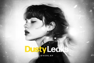 Dusty Leaks Overlay Photo Effect