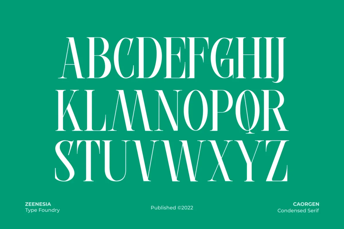 Caorgen - Fashion Display Serif Font