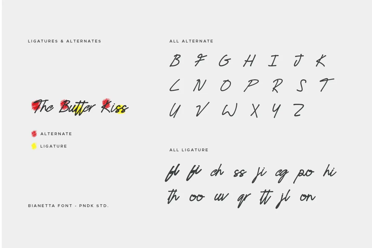 Bianetta - Modern Script Font