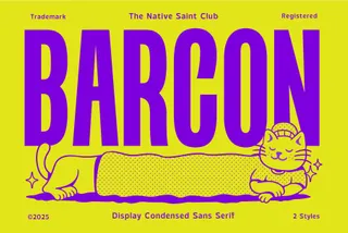 TNSC Barcon - Condensed Sans