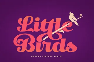 Little Bird: Vintage Script Font