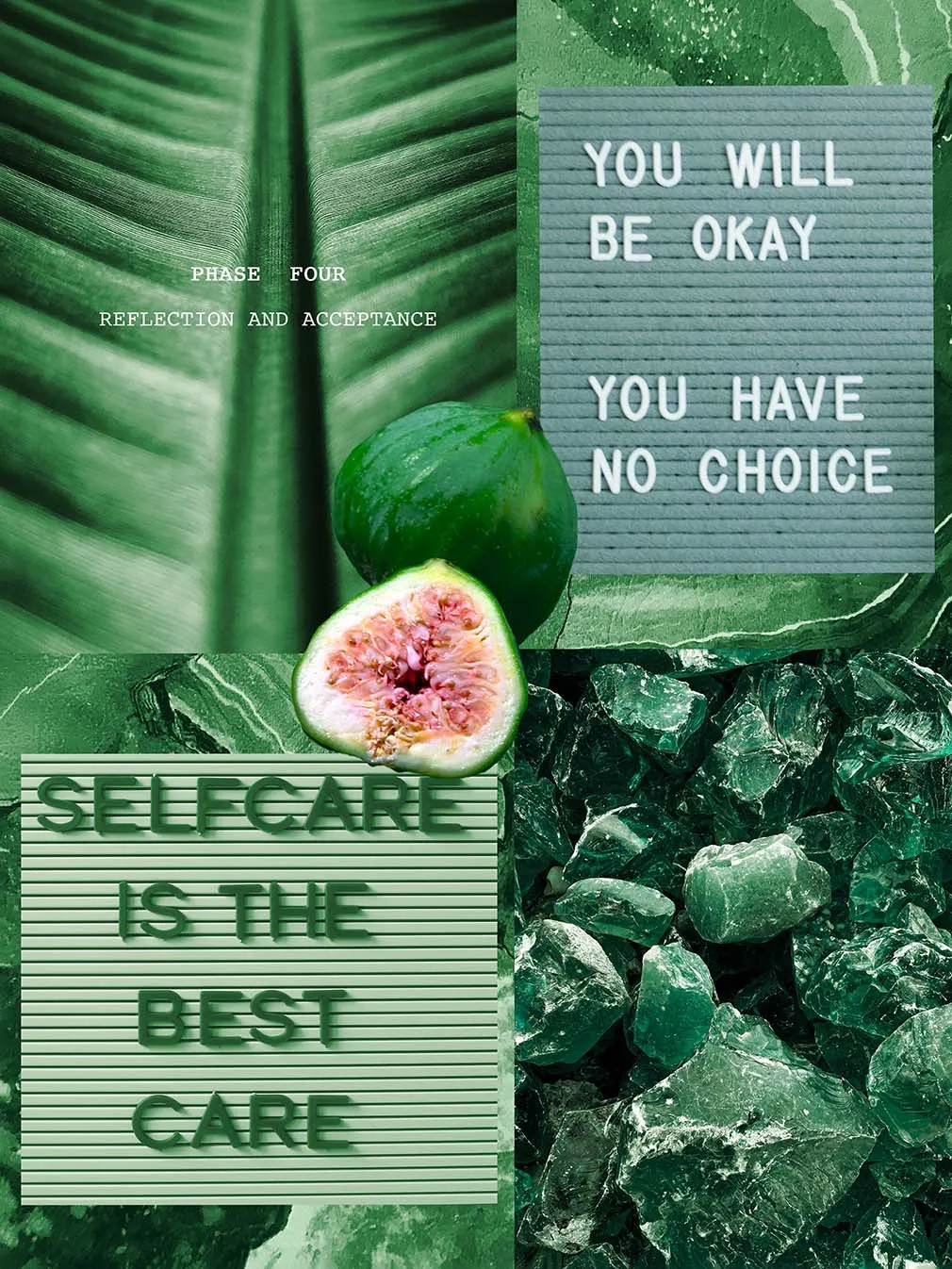 Metamorphosis — Collage Elements Pack