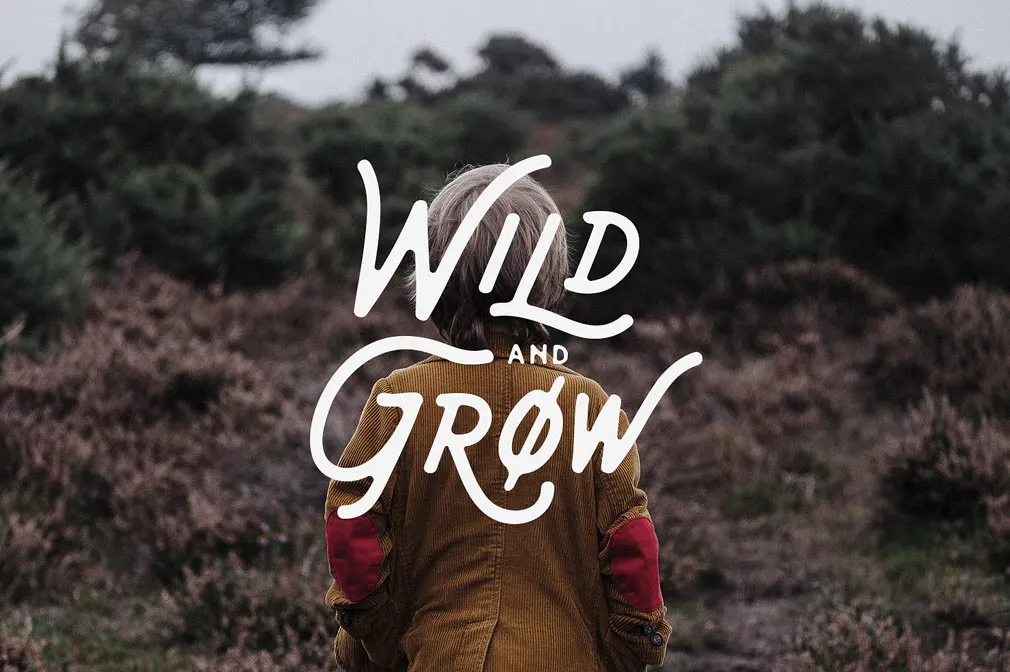 Bant Achillers Script Typeface