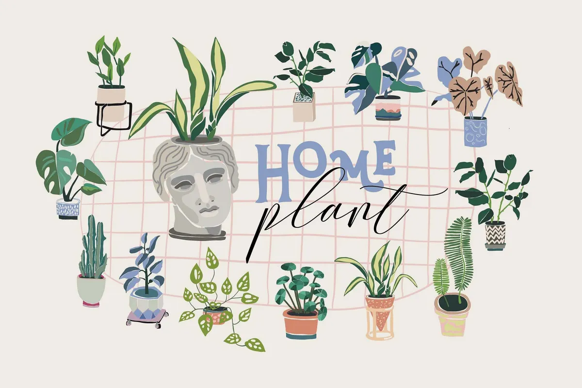 Indoor Plant Creator