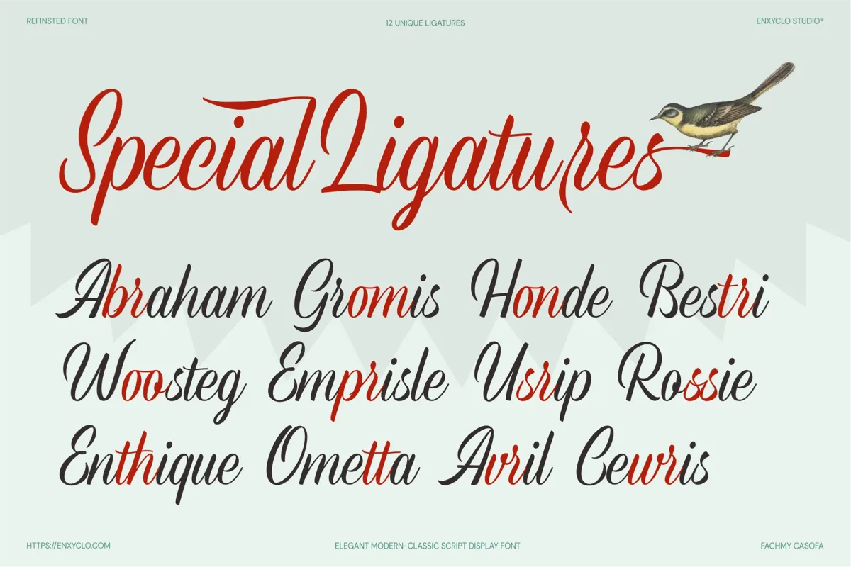 Refinsted - Modern Calligraphy Script Font
