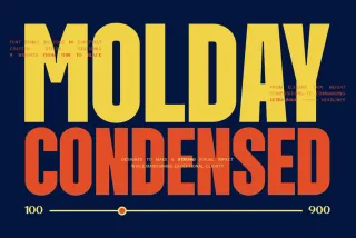 Molday - Condensed Sans Serif Font Family
