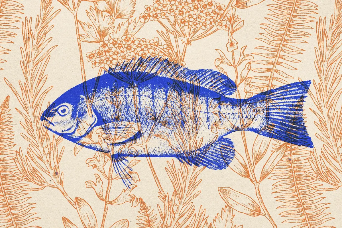 Overprint Risograph Effect
