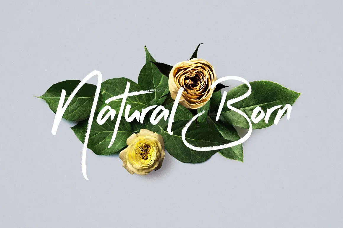 Flower Boom Graphic Pack