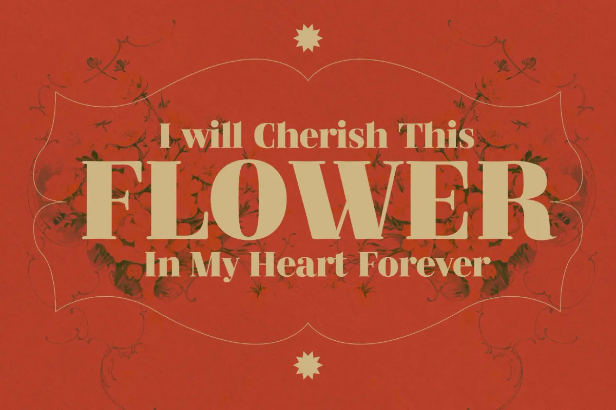 Serifine Font