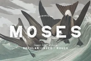 Moses Display Grotesque Typeface