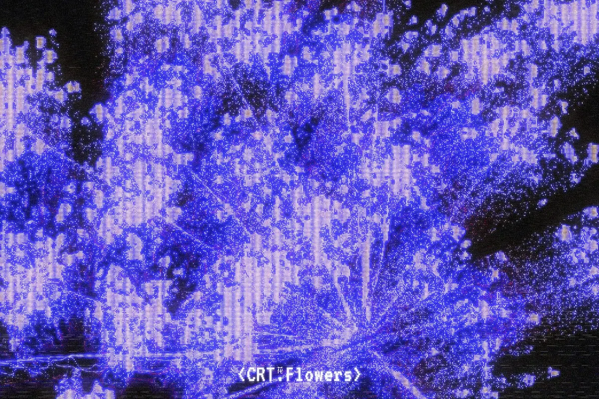 CRT Flowers Overlays