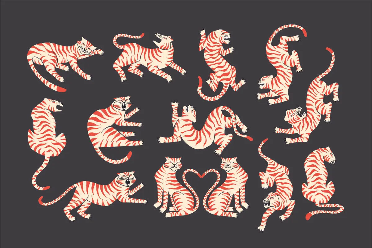 Tiger Vector Illustrations