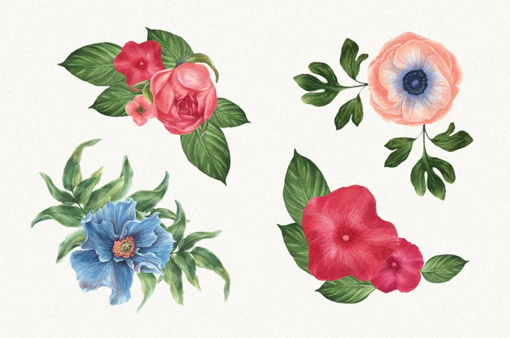 Watercolor Flowers Collection