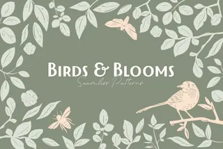 Birds & Blooms Patterns