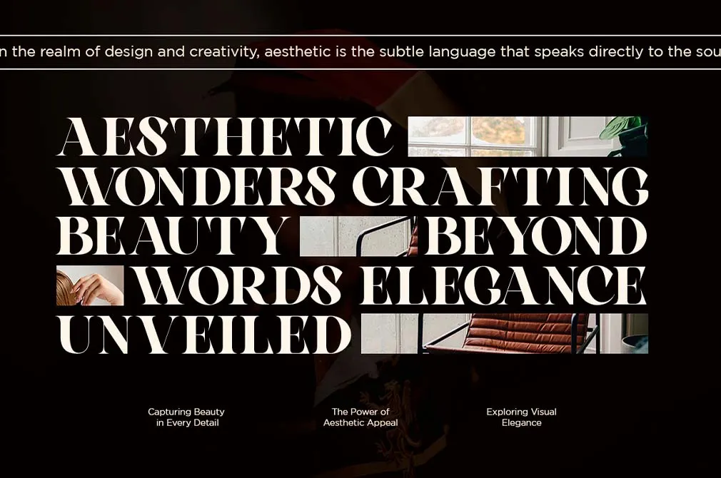 Elova | Elegant Serif Font