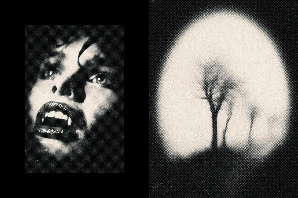 Pin Hole Camera Effect