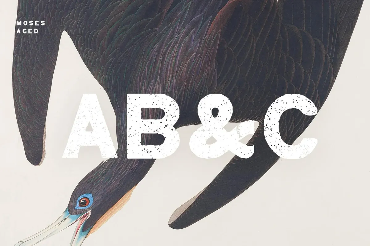 Moses Display Grotesque Typeface