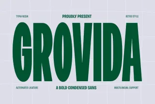 Grovida - Bold Retro Condensed Sans Font