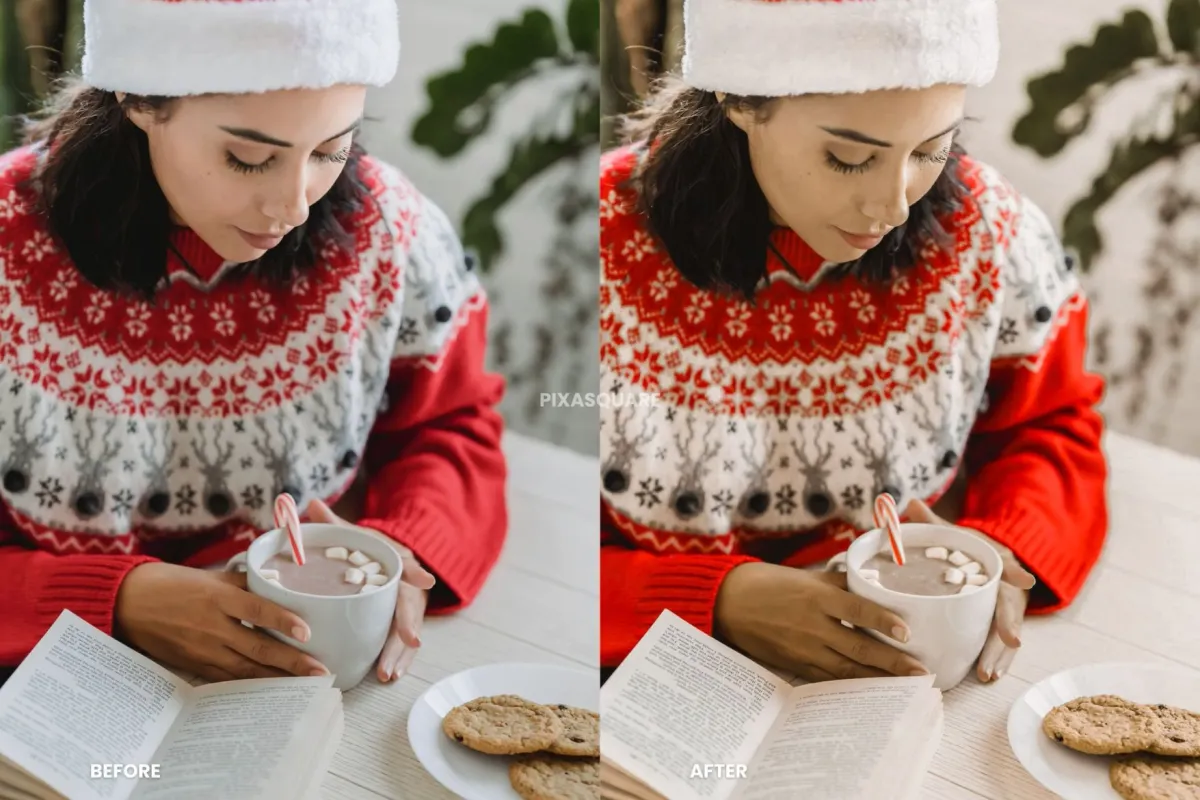 Festive Lightroom Presets
