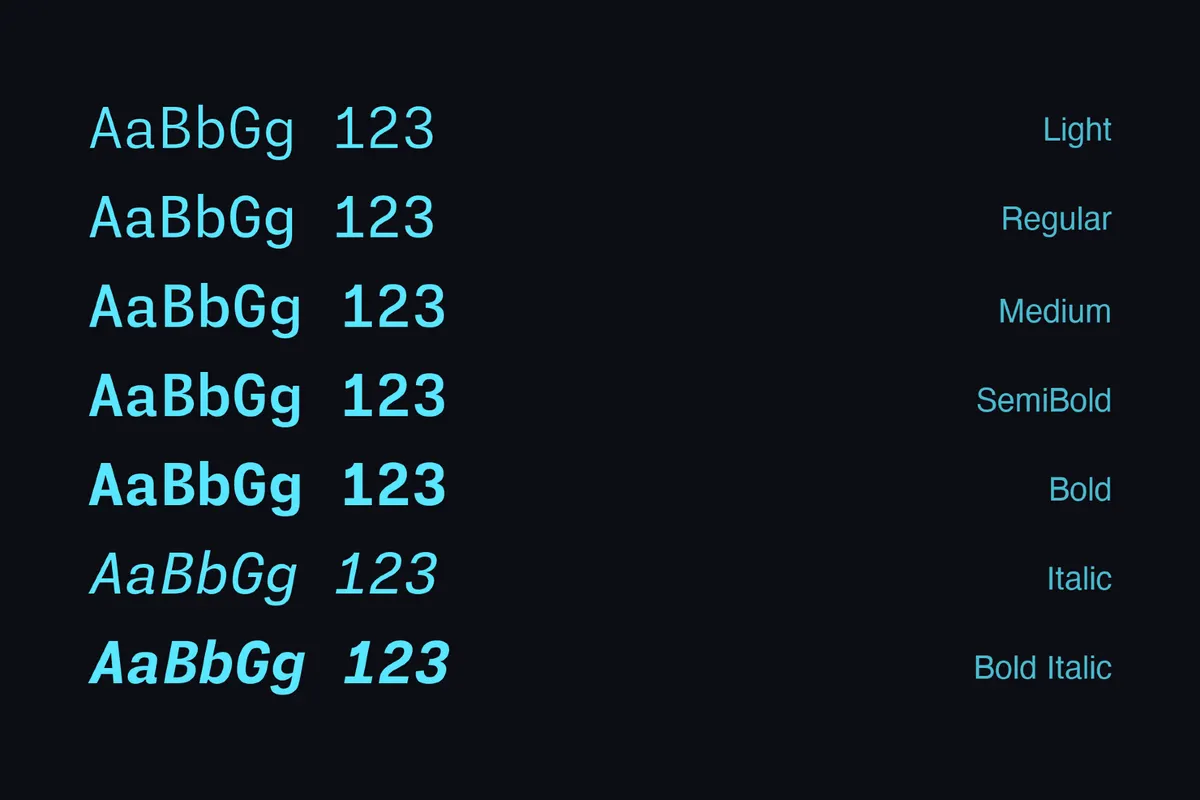 Monaspace Neon Font Family