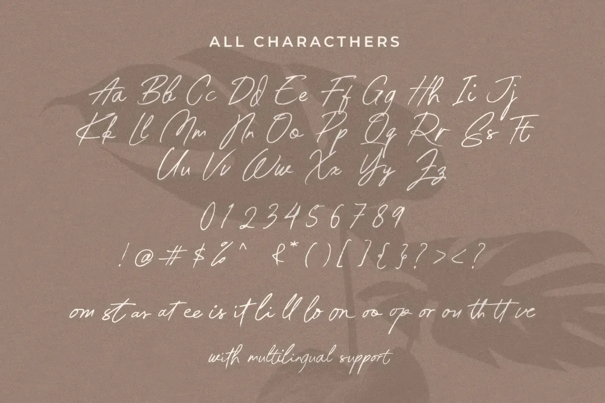 Western Risk — Handwritten Script