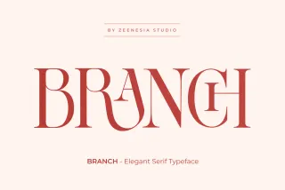 BRANCH - Elegant Serif Font